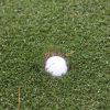 IMG_9947_Golf2012_550w