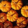pumpkins pumpkins