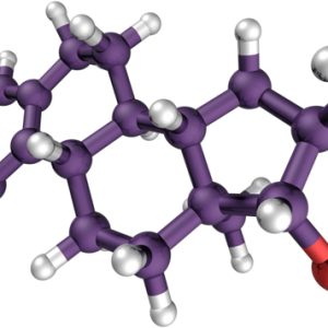 Estrogen molecular form