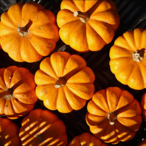 Anti-Cancer Food Spotlight: Pumpkin