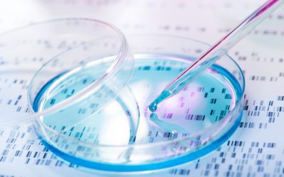 Beyond BRCA: Expanded Gene Panel Testing