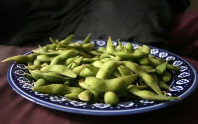 Soy Isoflavone Supplements Did Not Provide Breast Cancer Protections