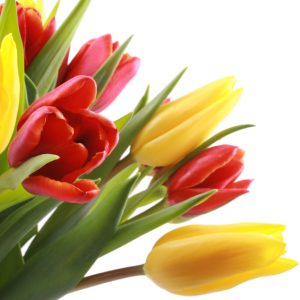 Join us in our Mother’s Day Tribute and Contest